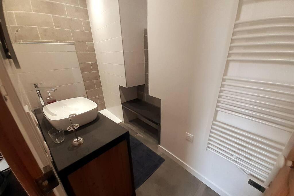 Classe 4 Etoiles - Cybele - Centre Ville 2 Chambres, Cour Privative Et Garage Vienne  Ngoại thất bức ảnh