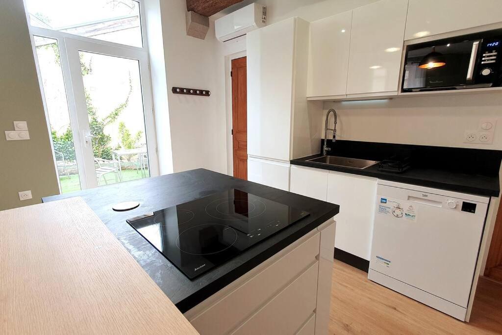 Classe 4 Etoiles - Cybele - Centre Ville 2 Chambres, Cour Privative Et Garage Vienne  Ngoại thất bức ảnh