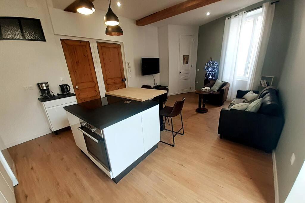 Classe 4 Etoiles - Cybele - Centre Ville 2 Chambres, Cour Privative Et Garage Vienne  Ngoại thất bức ảnh
