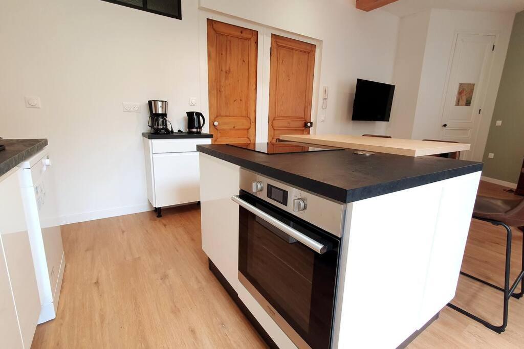 Classe 4 Etoiles - Cybele - Centre Ville 2 Chambres, Cour Privative Et Garage Vienne  Ngoại thất bức ảnh